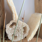Charger l'image dans la galerie, Véritable éponge végétale de la famille des cucurbitacées. Cette éponge loofah naturelle a un effet exfoliant pour votre peau. Elle se désagregera après un temps d'utilisation. Photo de face