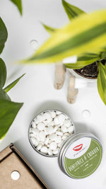 Charger l'image dans la galerie, Un dentifrice à croquer idéal pour vos voyages avec sa jolie boite réutilisable