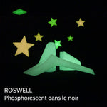 Charger l'image dans la galerie, Pisse-debout réutilisable en bioplastique, fabriqué en France. L'allié des festivals, des randonnées et des toilettes sales. Il vous évite des positions douloureuses et acobatiques. Pisse debout, urinoir féminin, urinoir pour femme, efficace et transportable. Phosphorescent