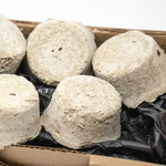 Charger l'image dans la galerie, Un dentifirice solide en vrac zéro déchet qui sublimera vos dents