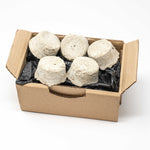 Charger l'image dans la galerie, Un dentifirice solide en vrac zéro déchet qui sublimera vos dents