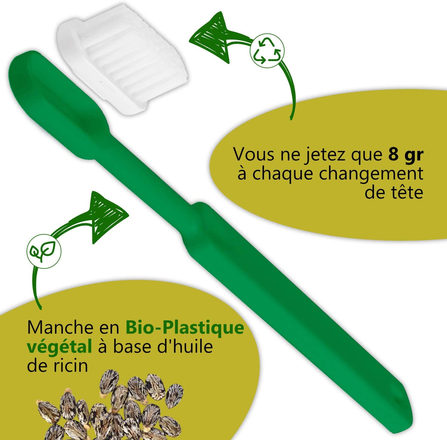 Une brosse à dents à tête rechargeable et au manche en bioplastique afin de laver vos dents efficacement tout en faisant un geste pour la planète !